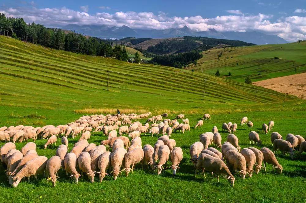 Najkrajšie turistické miesta na Liptove