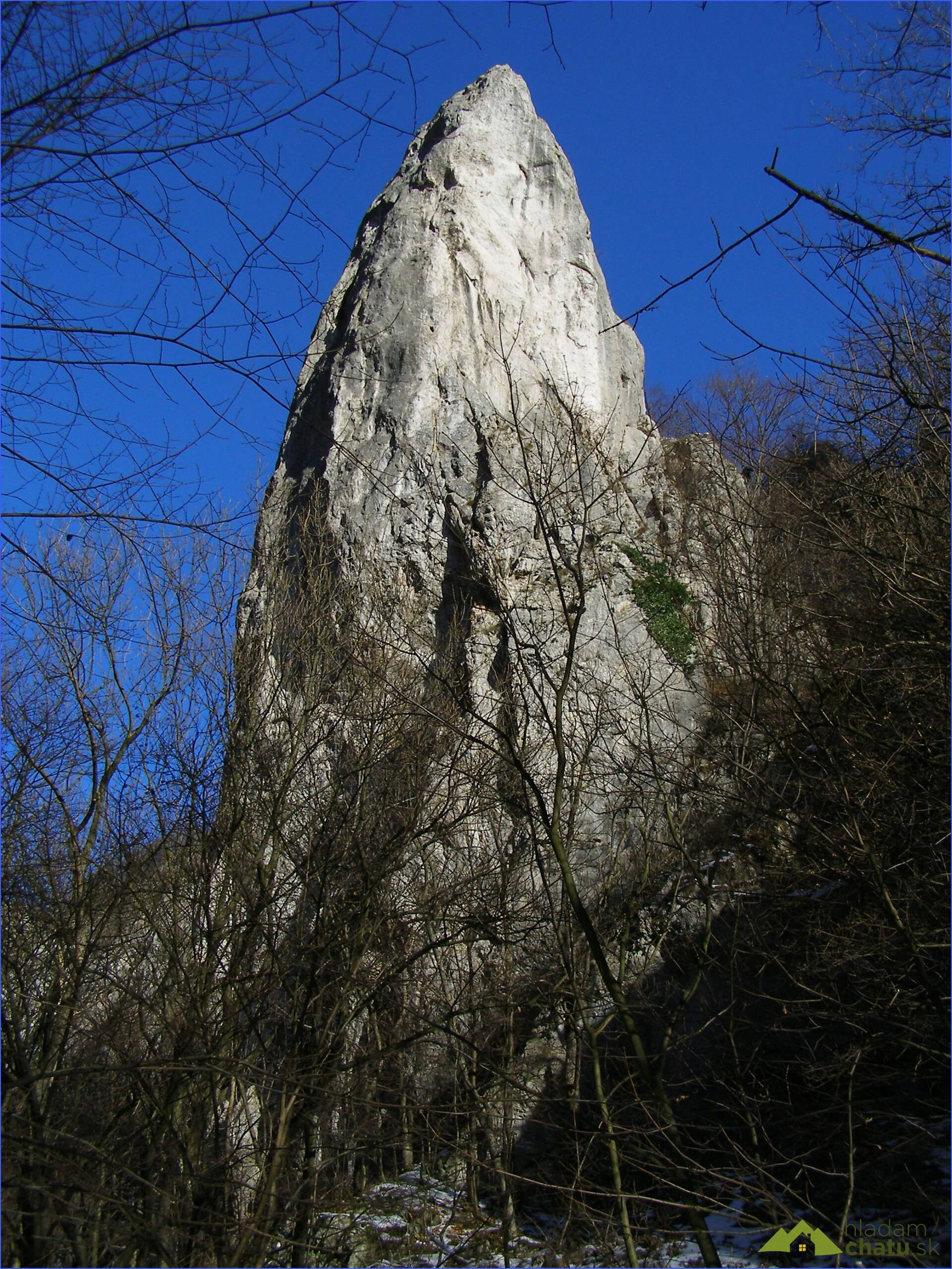 Cukrová homola