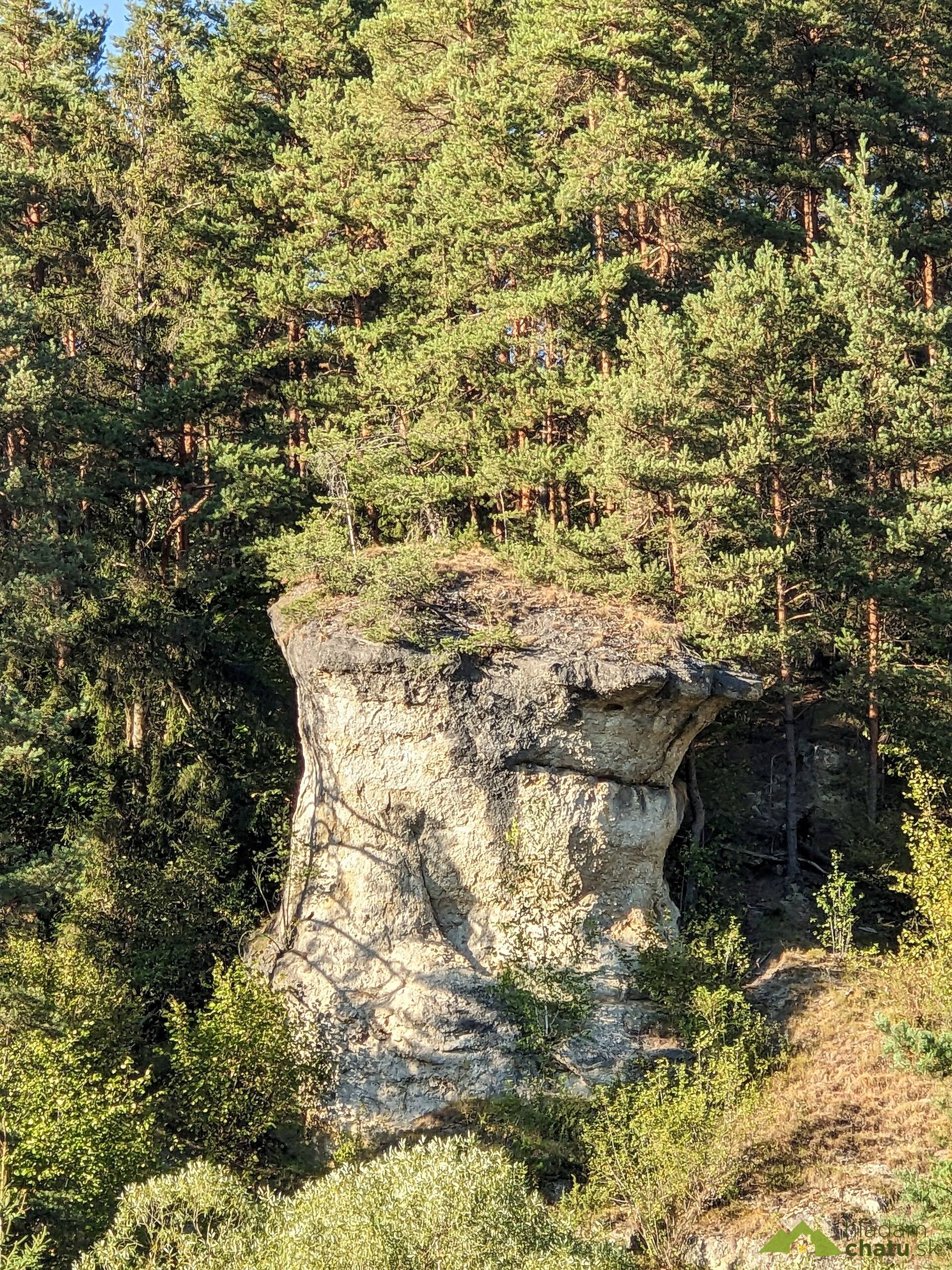 Ľupčiansky skalný hríb