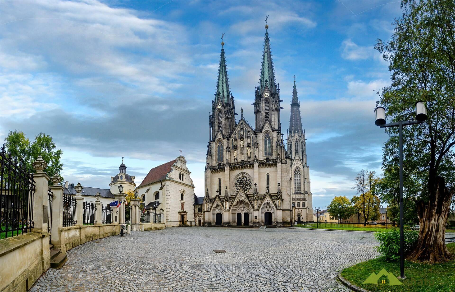 Katedrála sv. Václava.jpg