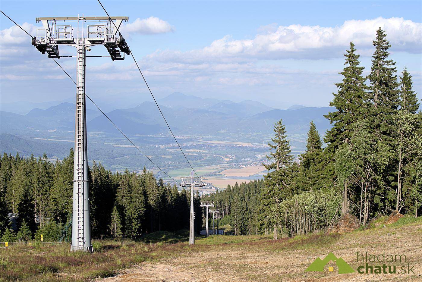 winter park martinky.jpg