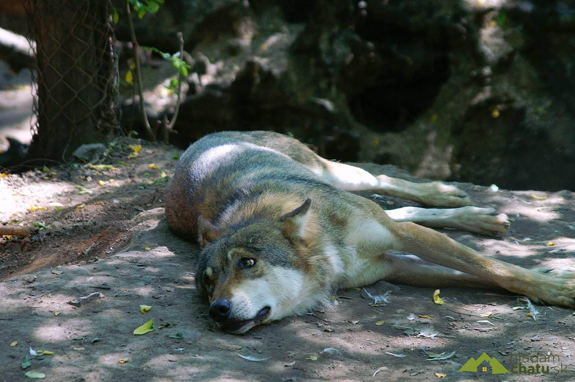 Zoo Chomutov.jpg