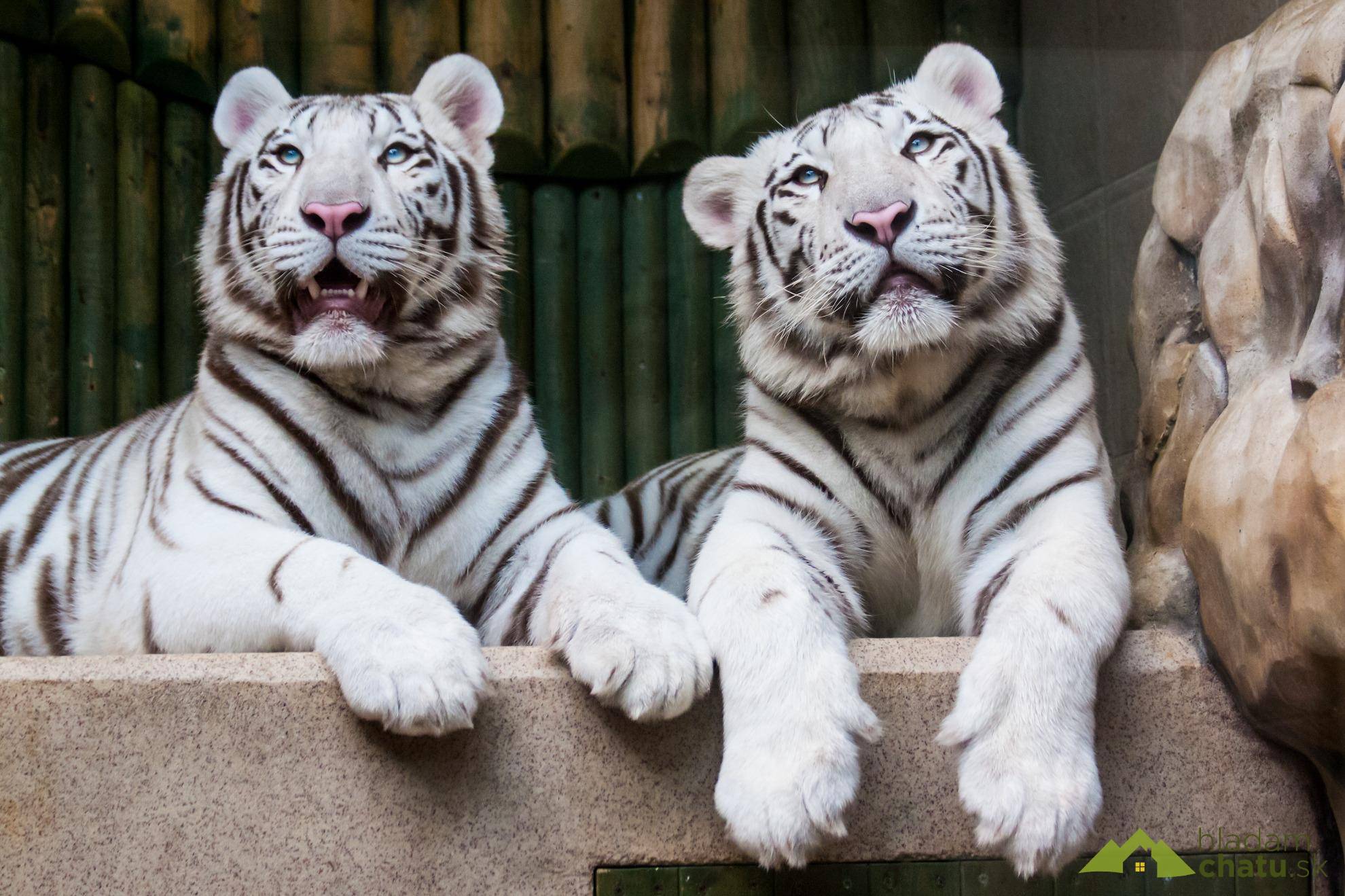 Zoo Liberec.jpg