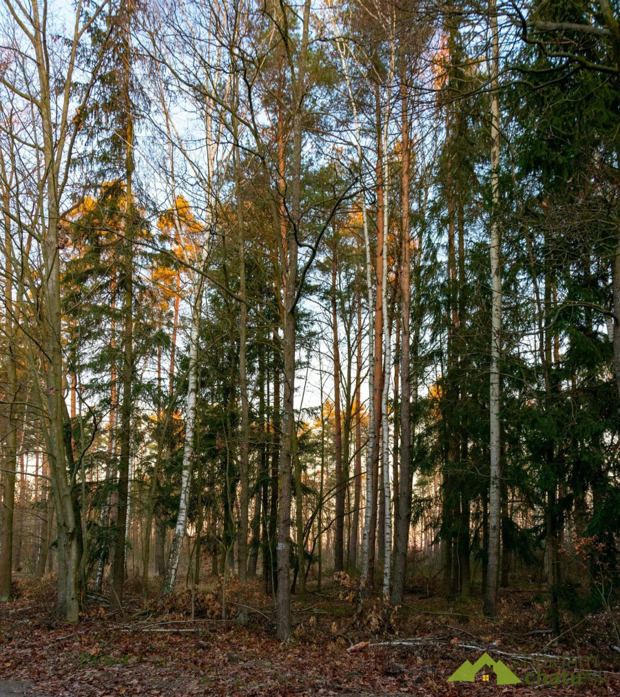 Lubusko
