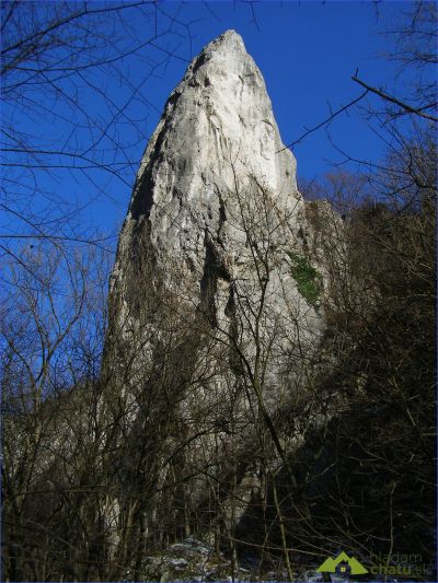 Cukrová homola