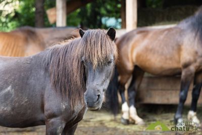 Ranč pod Hájom Ubytovateľ