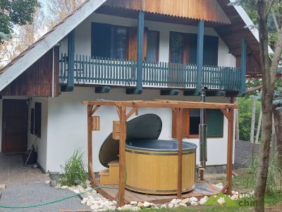 Cottage near the lake The lodger
